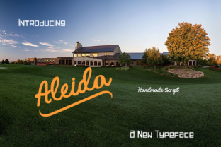 Aleida: A Handmade Typeface for Editorial Design