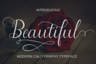 Beautiful Script: A Modern Calligraphy Typeface Review