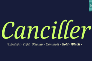 Canciller Family: Elegant Script Fonts for Web Design