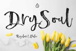 Dry Soul Typeface for Editorial Design