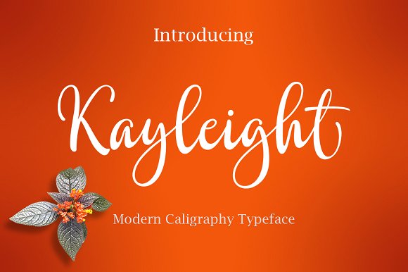 Kayleight: A Handwritten Font for Digital Design
