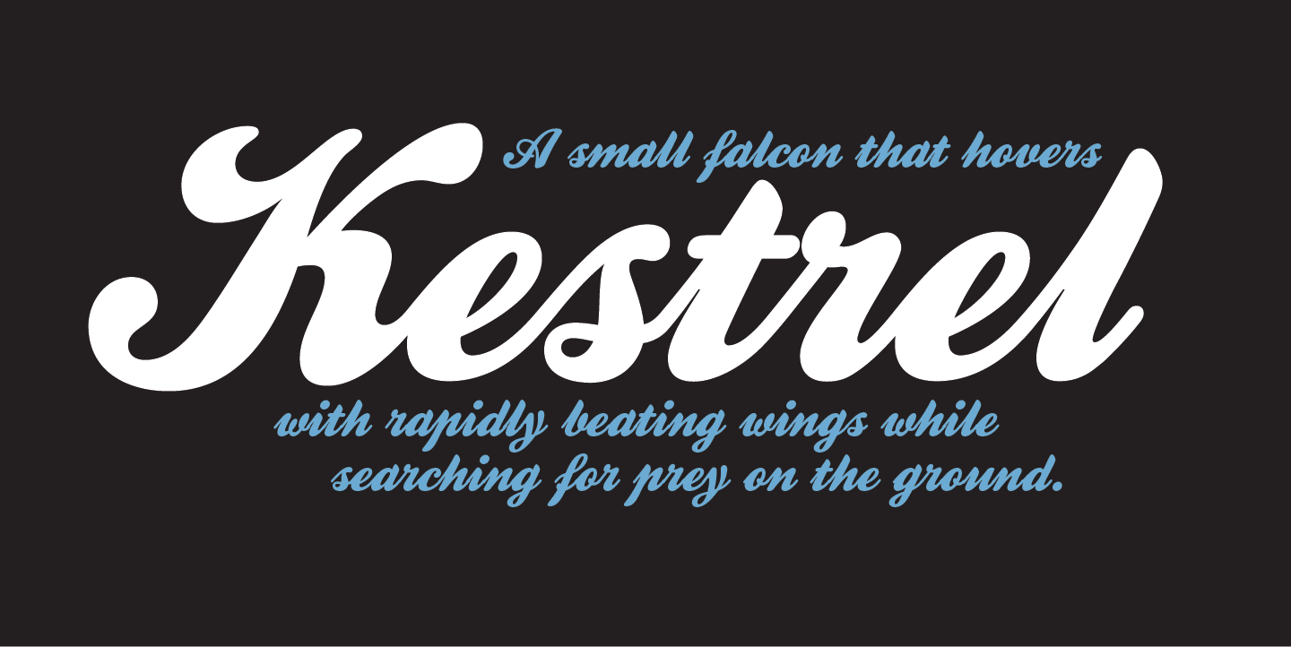 Kestrel Script: A Timeless Typeface for Branding