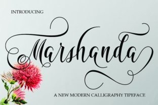 Marshanda: A Modern Calligraphy Typeface for Editors