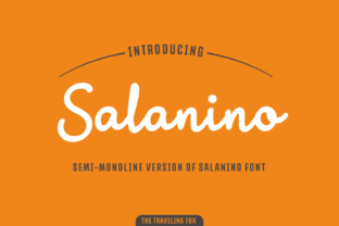 Salanino Mono Typeface for Modern Web Design