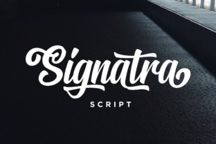 Signatra Script Typeface for Editorial Design